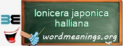 WordMeaning blackboard for lonicera japonica halliana